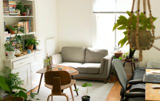 living-room with plants, and bed, desktop, couch and so on